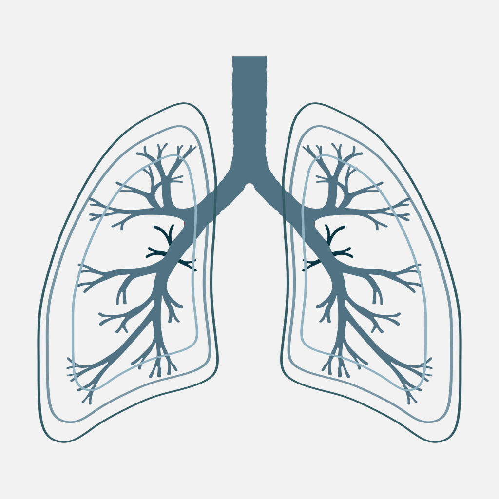 ©dream_master/Stock.Adobe.com